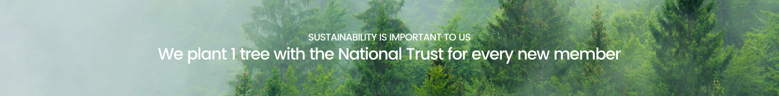 NT